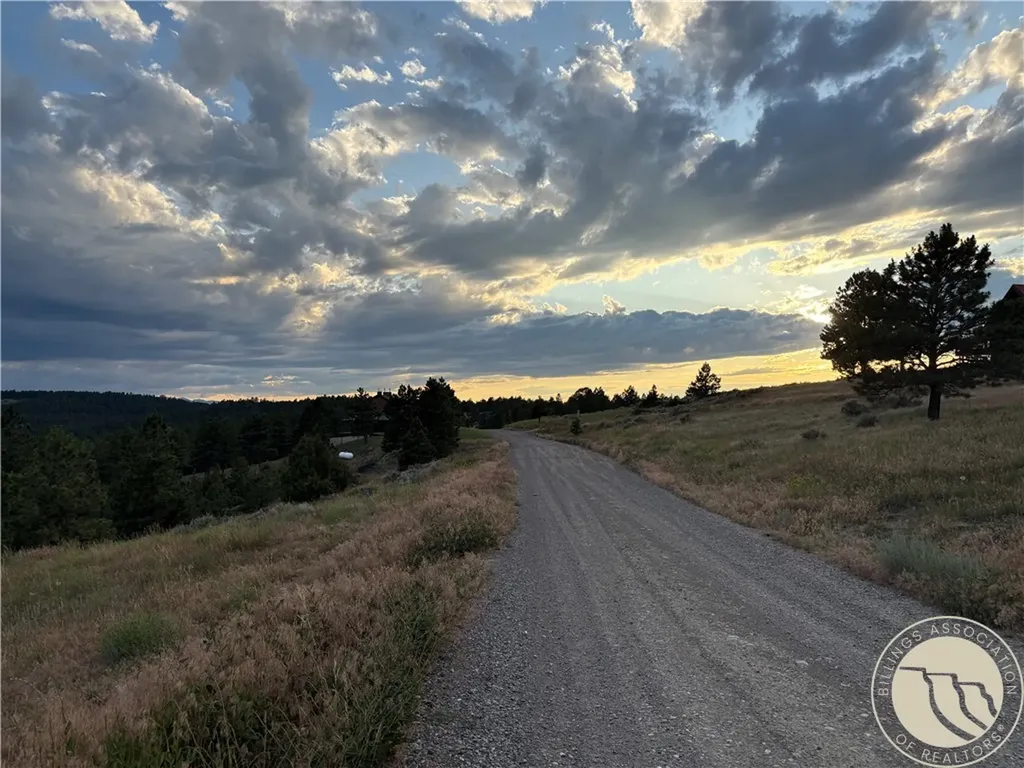 Lot 94 Owl Canyon Road Reed Point MT 59069