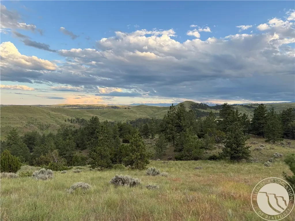 Lot 94 Owl Canyon Road Reed Point MT 59069