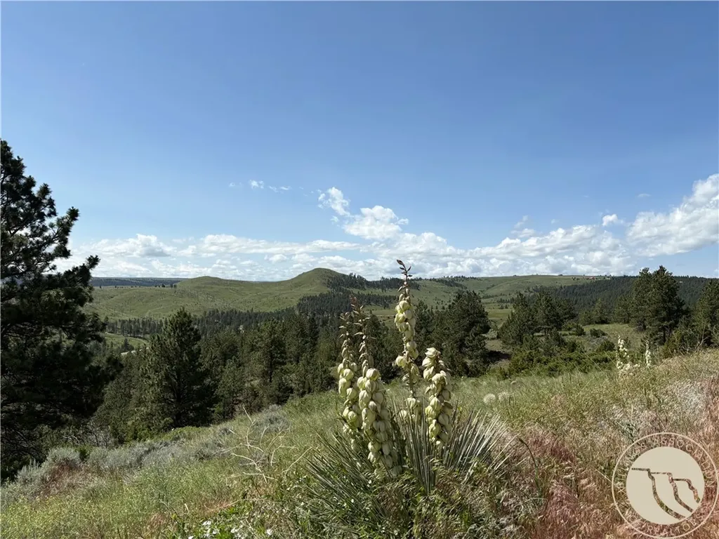 Lot 94 Owl Canyon Road Reed Point MT 59069