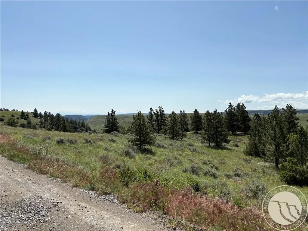 Lot 94 Owl Canyon Road Reed Point MT 59069