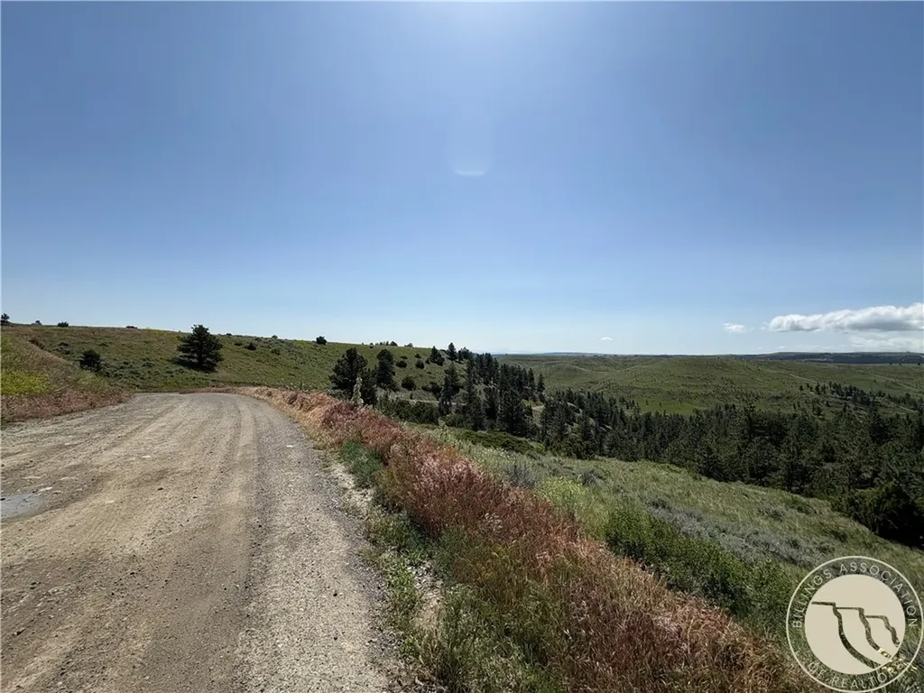 Lot 94 Owl Canyon Road Reed Point MT 59069
