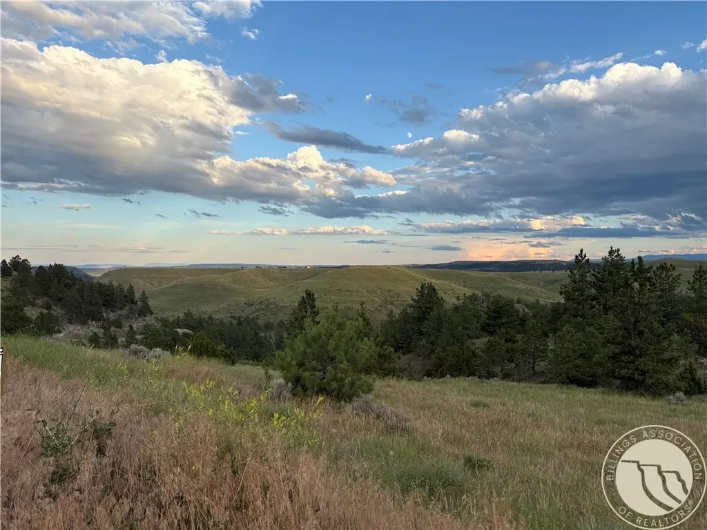 Lot 94 Owl Canyon Road Reed Point MT 59069