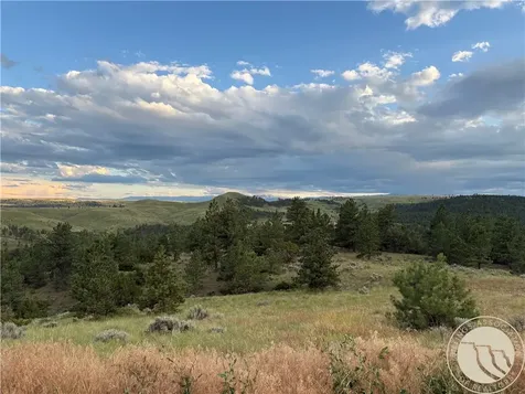 Lot 94 Owl Canyon Road Reed Point MT 59069