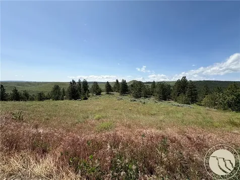Lot 94 Owl Canyon Road Reed Point MT 59069