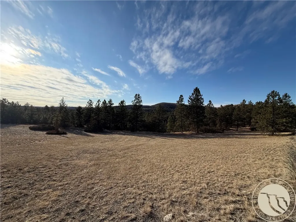 42 Bozeman Trail Columbus MT 59019
