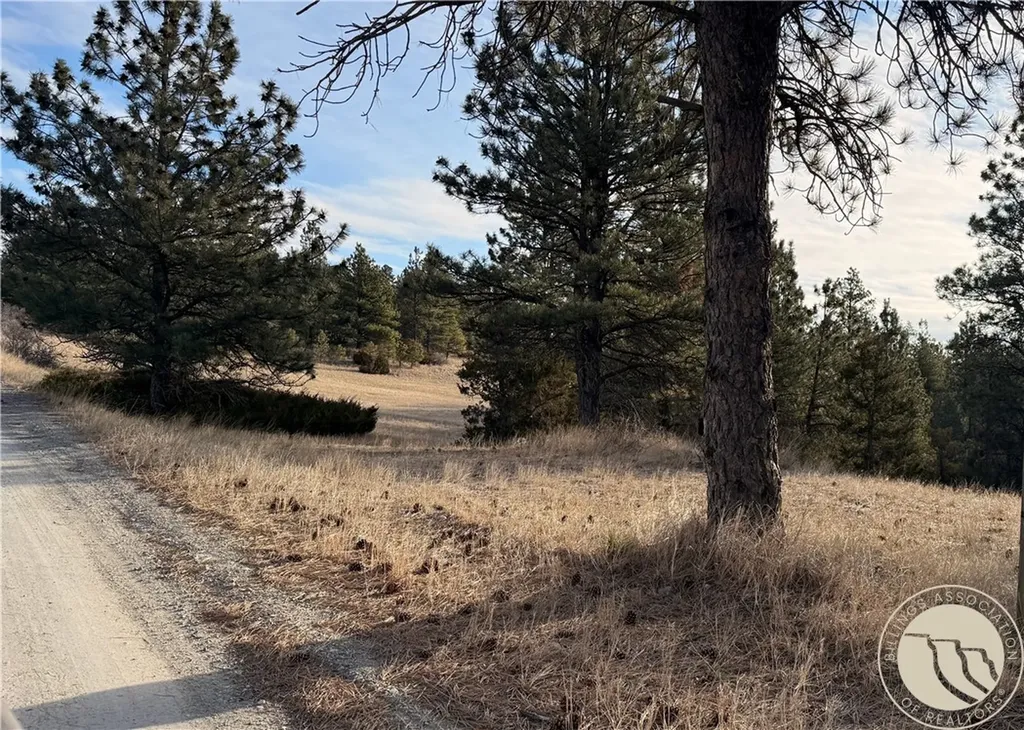 42 Bozeman Trail Columbus MT 59019