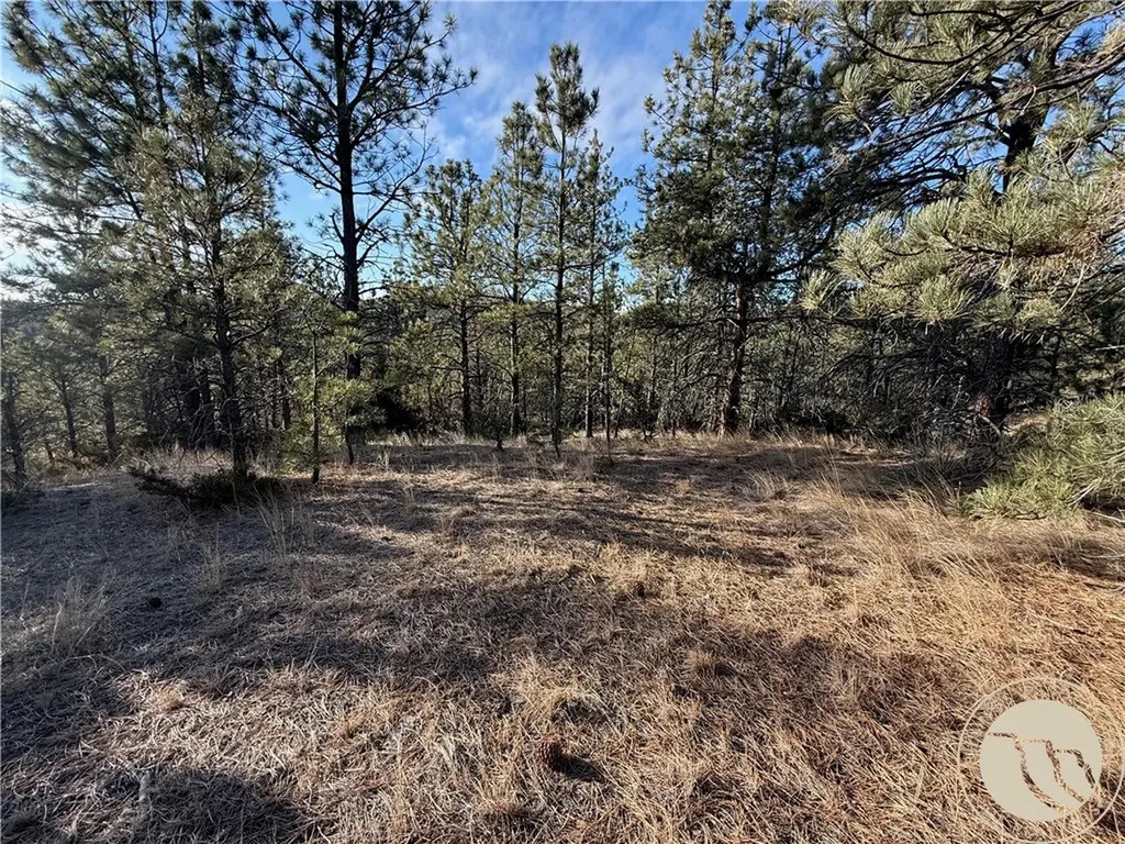 42 Bozeman Trail Columbus MT 59019