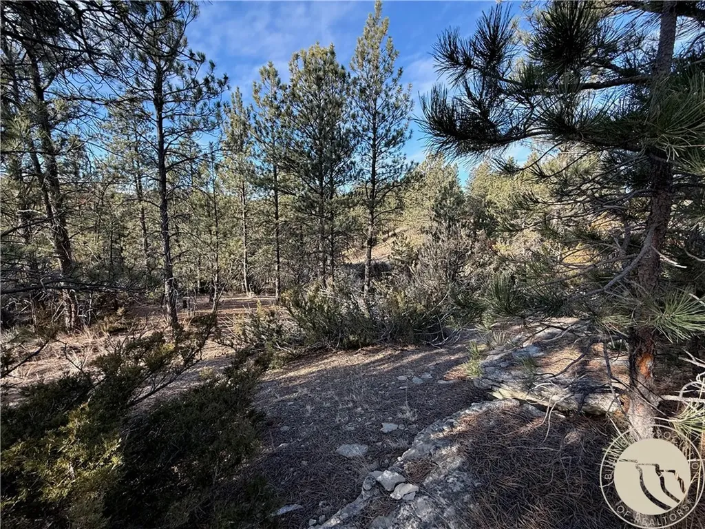 42 Bozeman Trail Columbus MT 59019