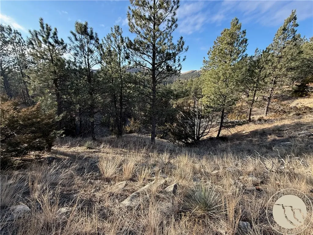 42 Bozeman Trail Columbus MT 59019