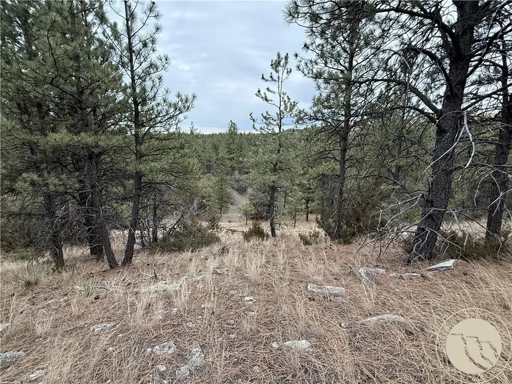 42 Bozeman Trail Columbus MT 59019
