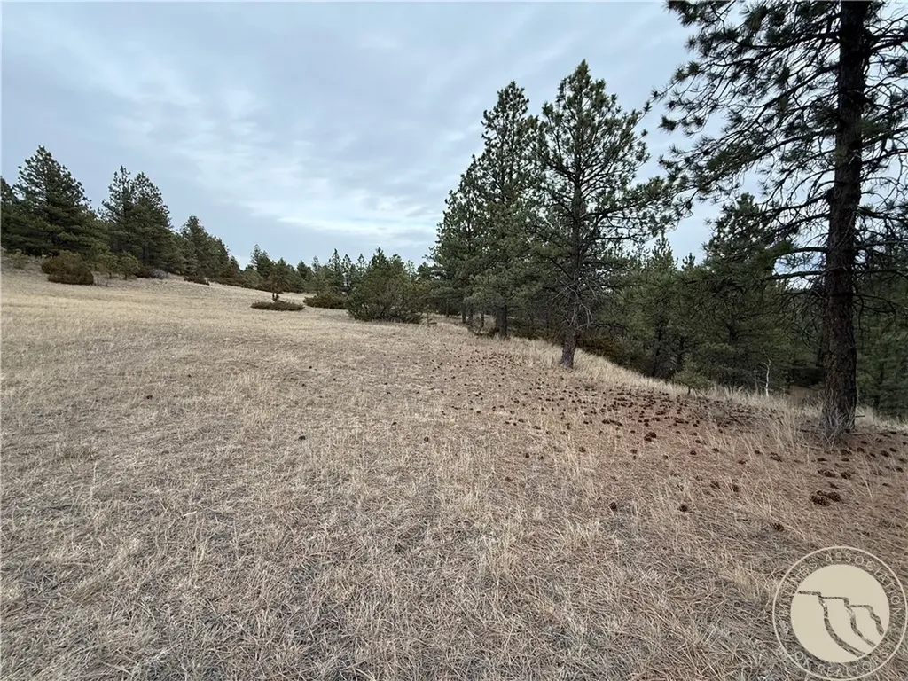 42 Bozeman Trail Columbus MT 59019