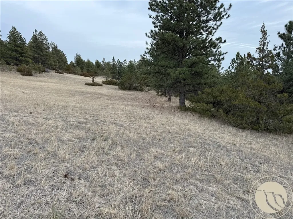 42 Bozeman Trail Columbus MT 59019