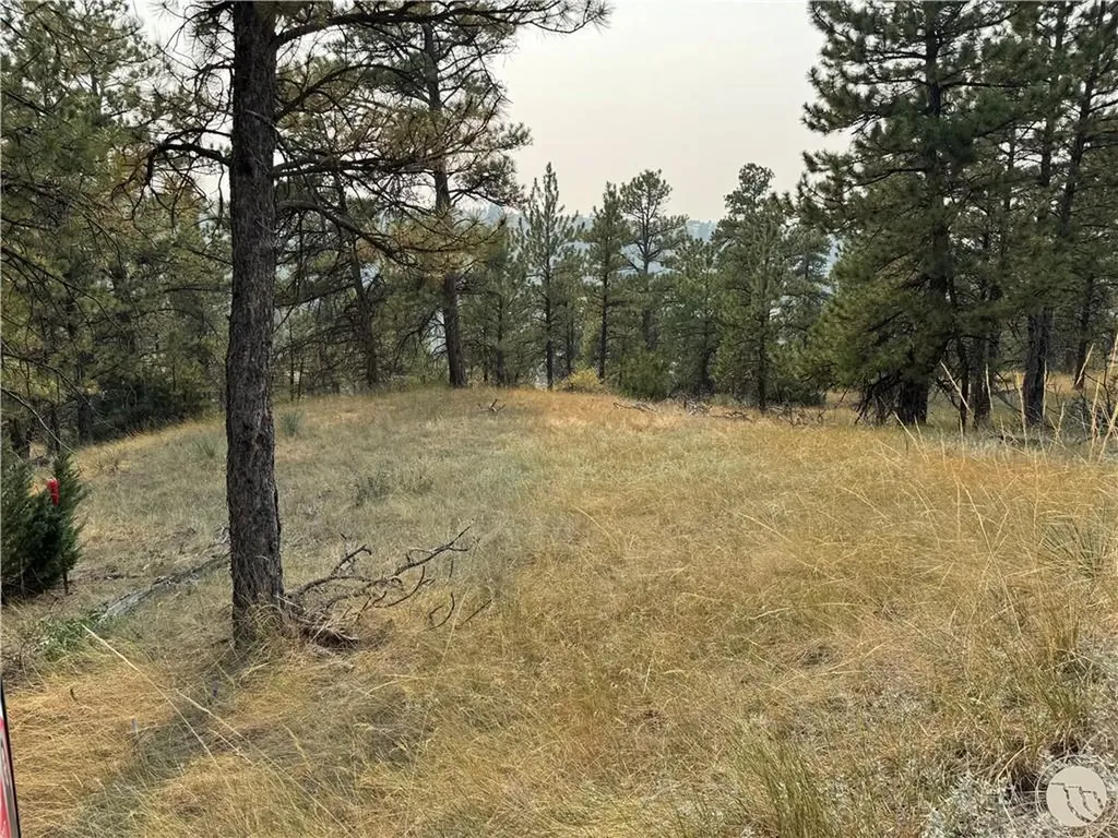 Tbd Antelope Drive Columbus MT 59019