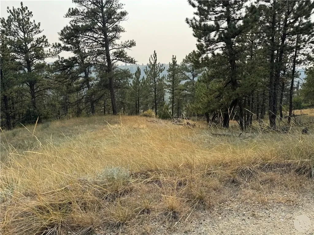 Tbd Antelope Drive Columbus MT 59019