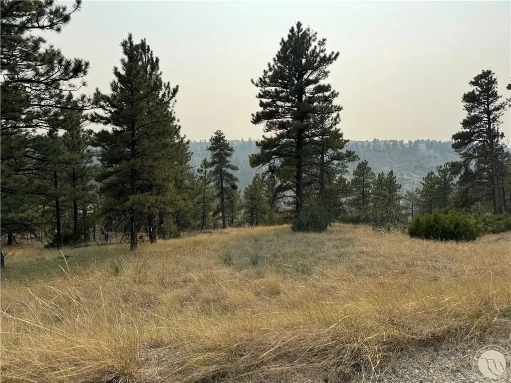 Tbd Antelope Drive Columbus MT 59019