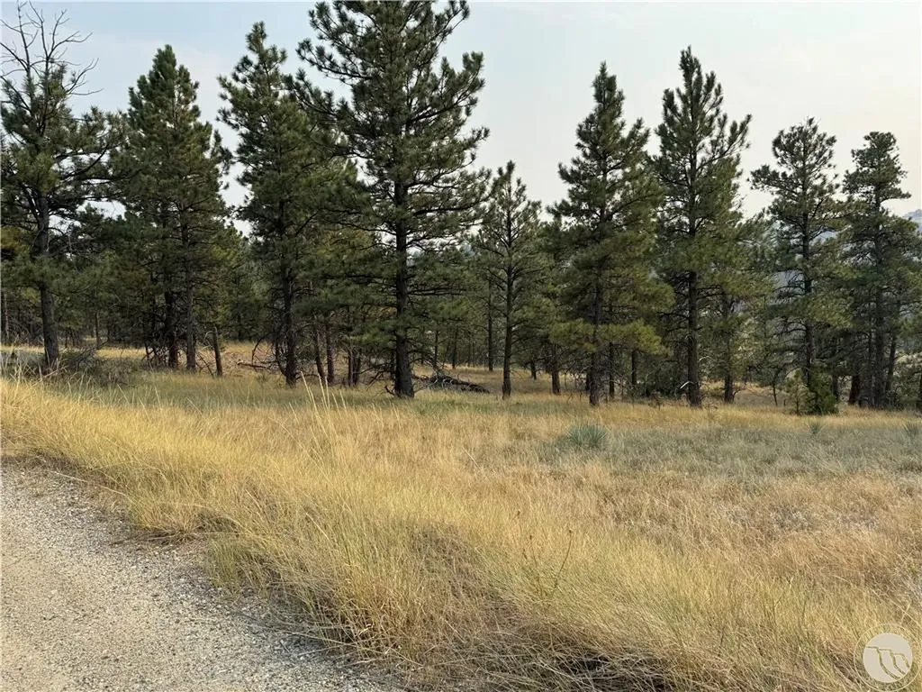 Tbd Antelope Drive Columbus MT 59019