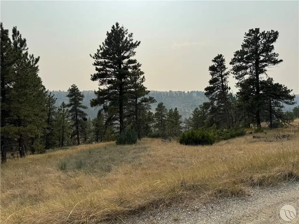 Tbd Antelope Drive Columbus MT 59019