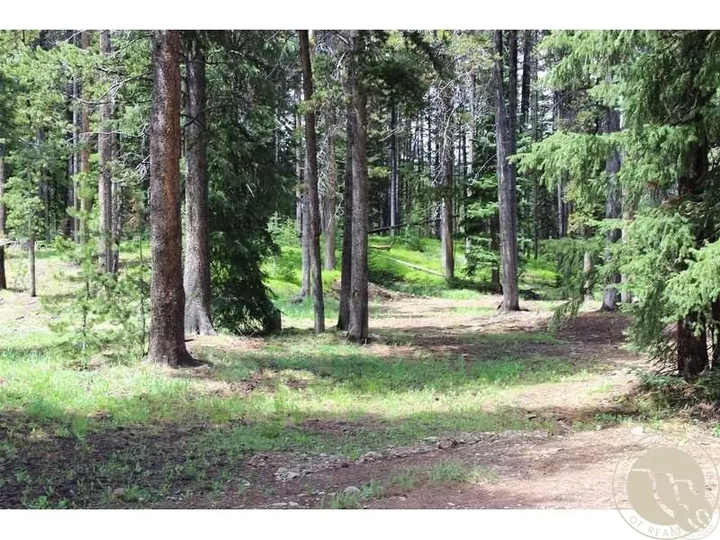 3 Cooke Pass Lane Cooke City MT 59020