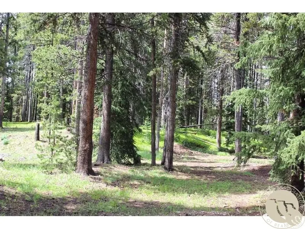 3 Cooke Pass Lane Cooke City MT 59020