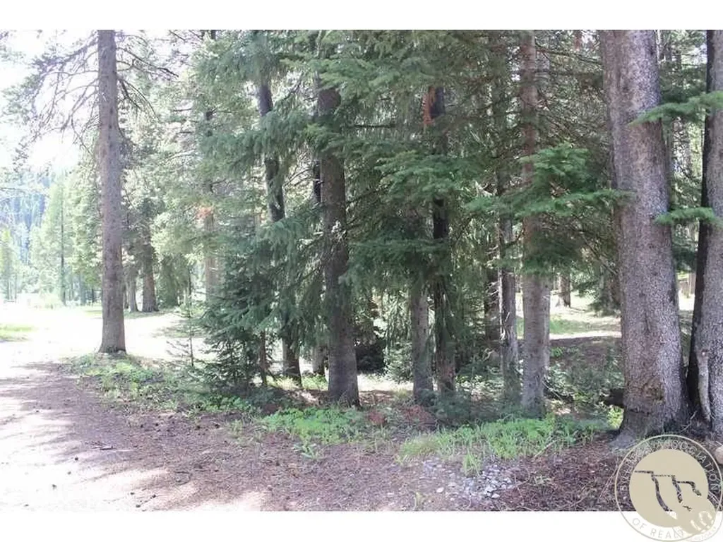 3 Cooke Pass Lane Cooke City MT 59020