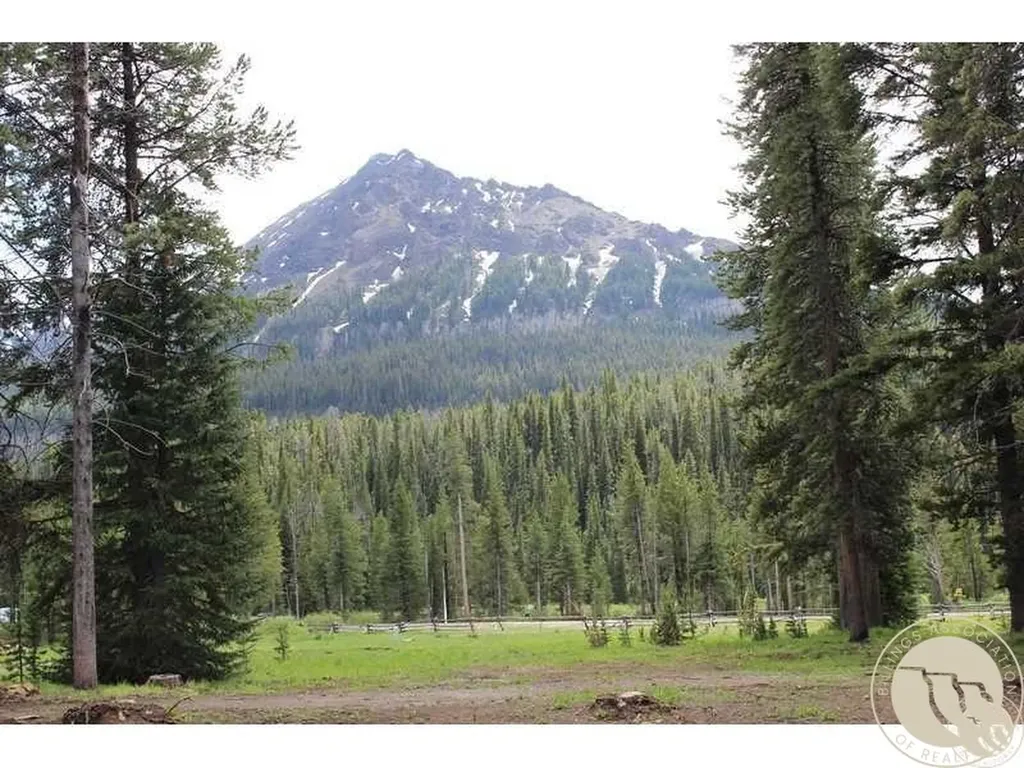 3 Cooke Pass Lane Cooke City MT 59020