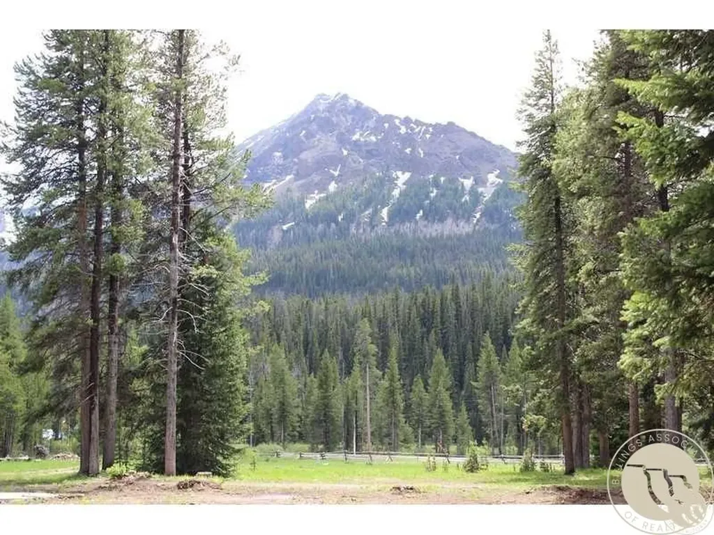 3 Cooke Pass Lane Cooke City MT 59020