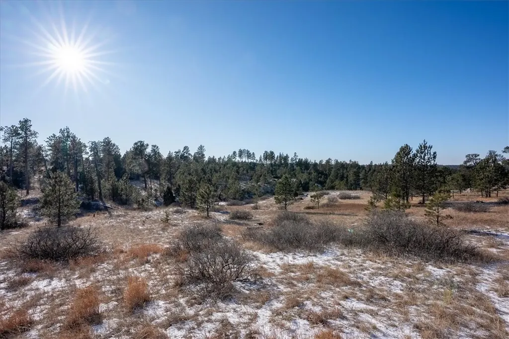 81 N Canyon Drive Roundup MT 59072