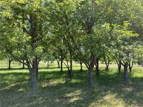 157 Hergenrider Road Bridger MT 59014