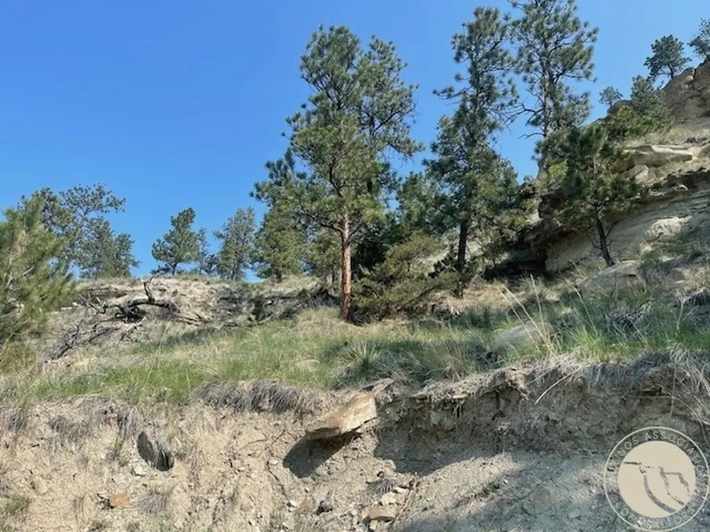 4741 Box Canyon Road Billings MT 59101