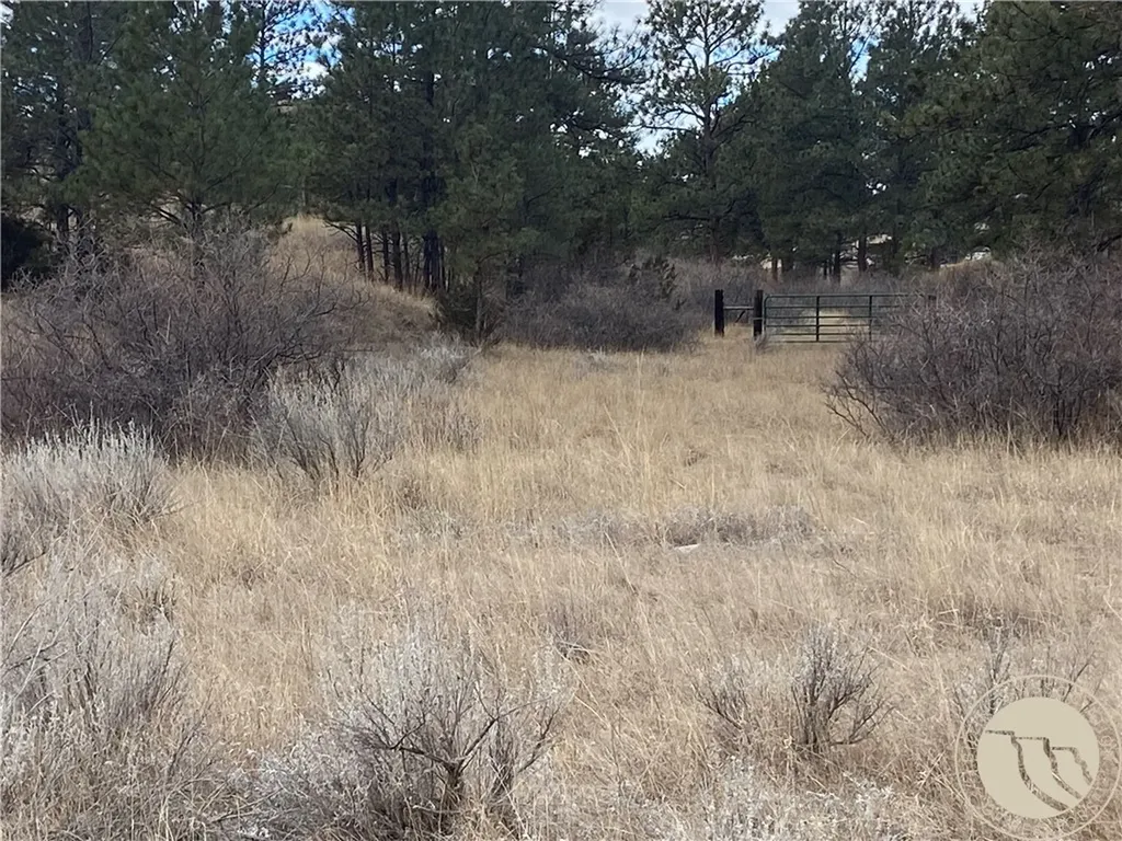 Tbd Gribben Road Custer MT 59634