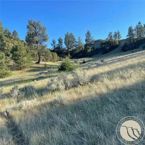 TBD Gribben Road Custer MT 59634