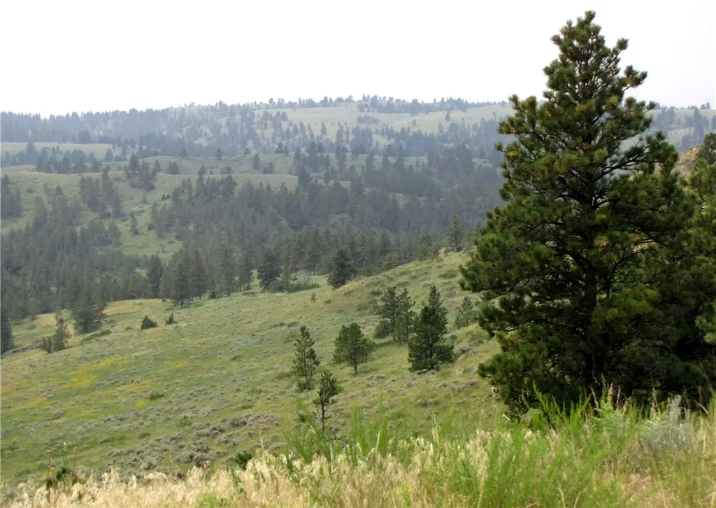Nhn Lone Rock Canyon Hysham MT 59038