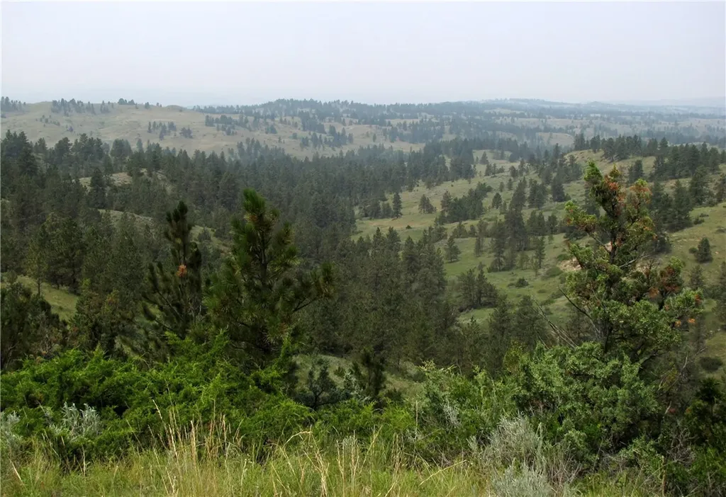 Nhn Lone Rock Canyon Hysham MT 59038