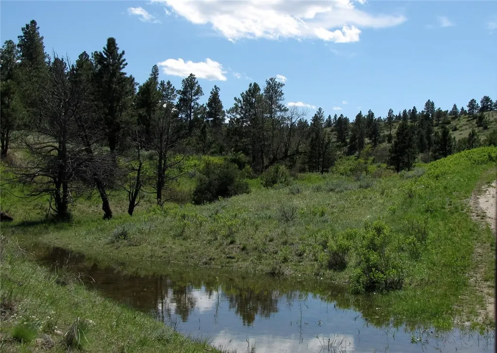 Nhn Lone Rock Canyon Hysham MT 59038