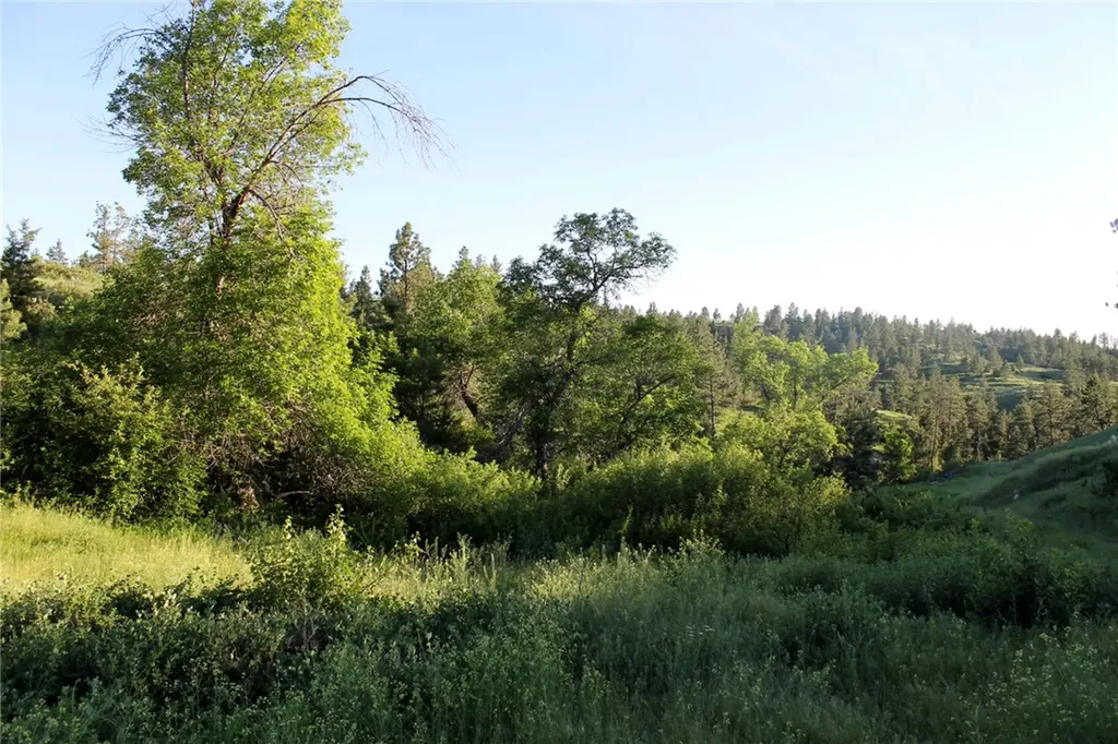 Nhn Lone Rock Canyon Hysham MT 59038