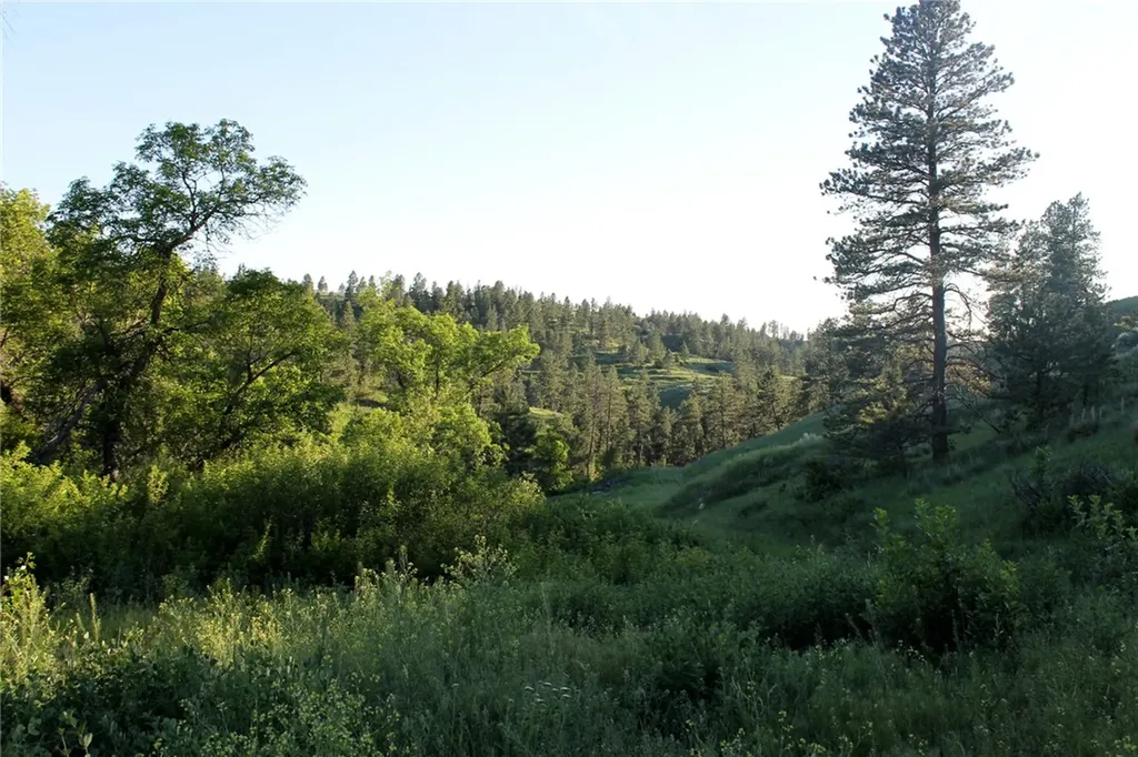 Nhn Lone Rock Canyon Hysham MT 59038