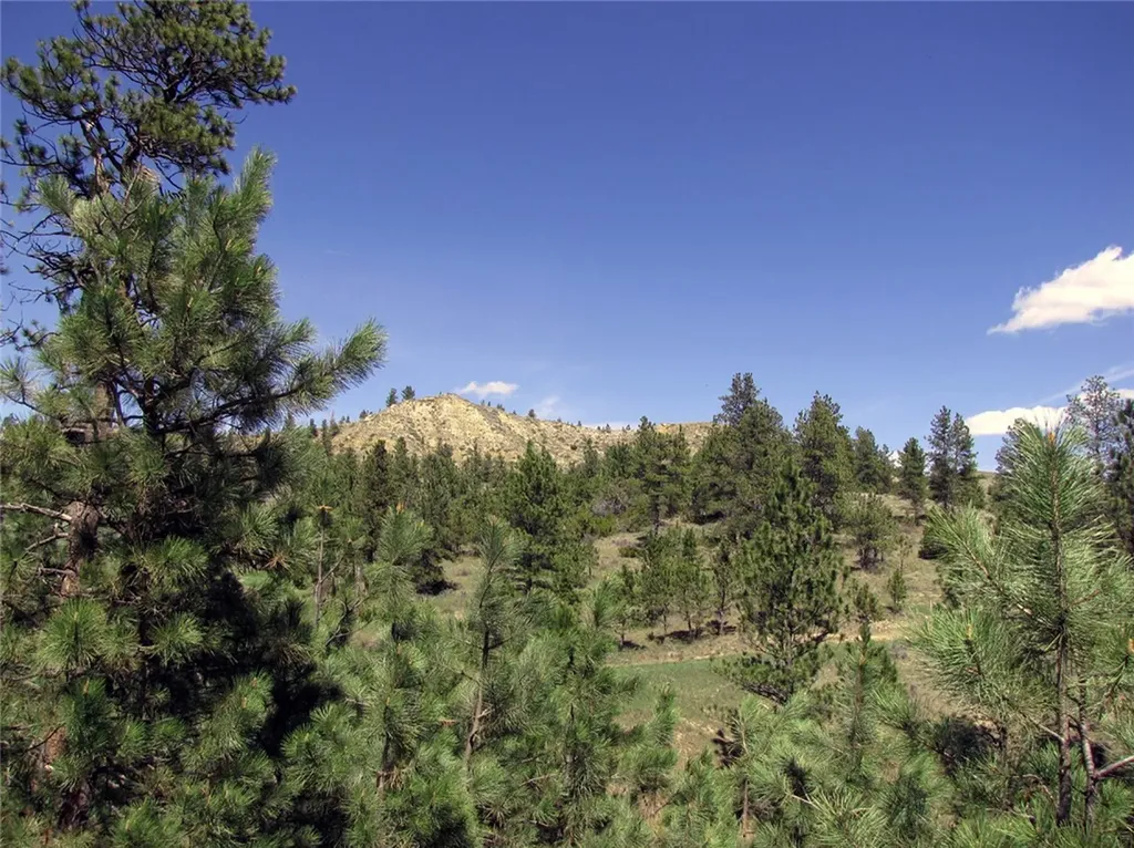 Nhn Lone Rock Canyon Hysham MT 59038