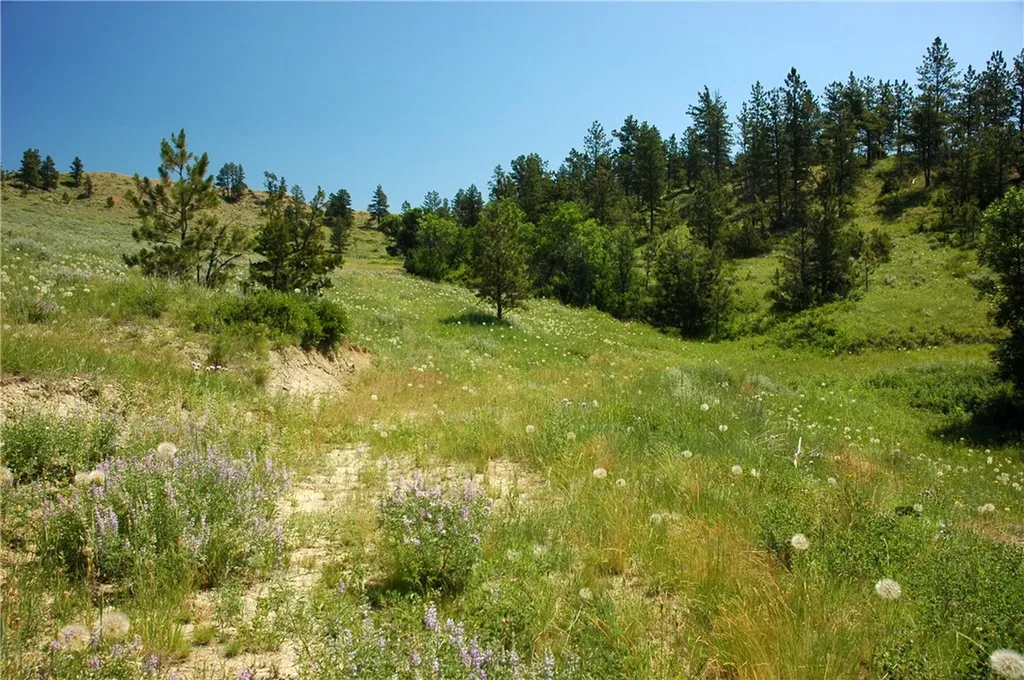 Nhn Lone Rock Canyon Hysham MT 59038