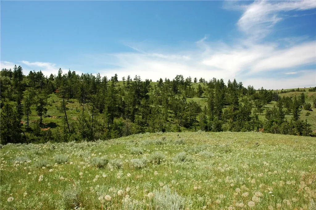 Nhn Lone Rock Canyon Hysham MT 59038