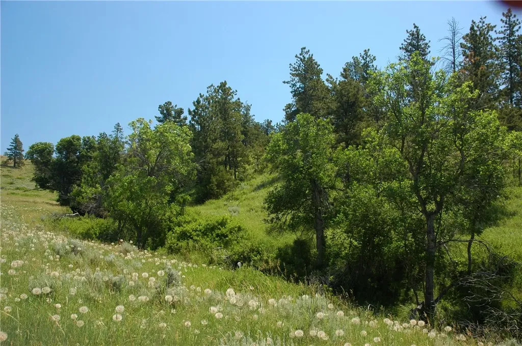 Nhn Lone Rock Canyon Hysham MT 59038
