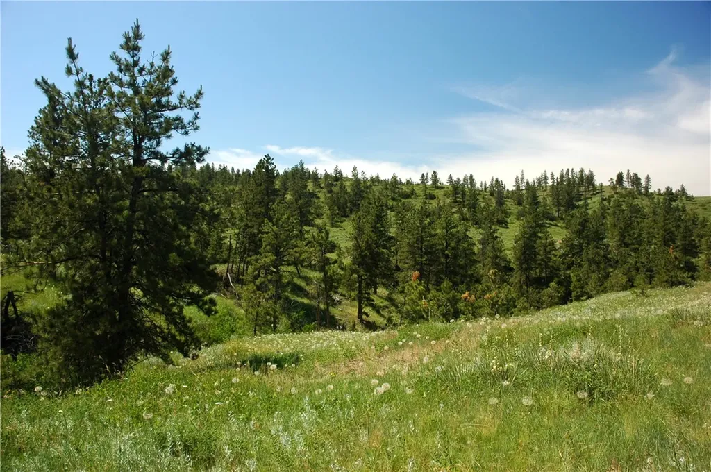 Nhn Lone Rock Canyon Hysham MT 59038