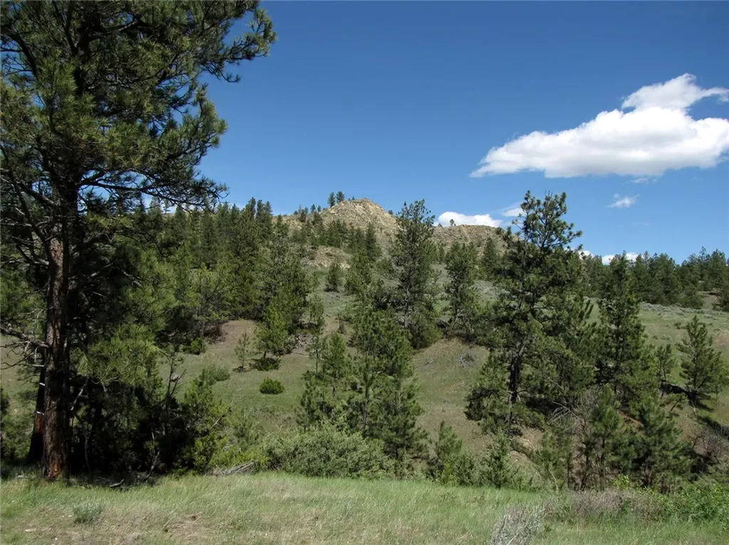 Nhn Lone Rock Canyon Hysham MT 59038