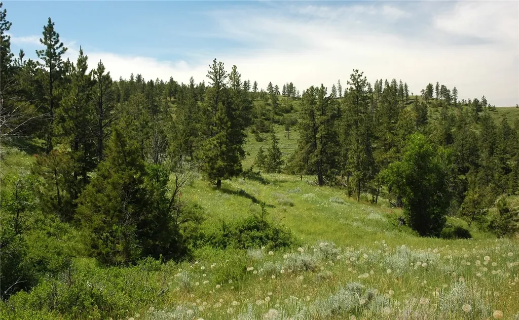 Nhn Lone Rock Canyon Hysham MT 59038