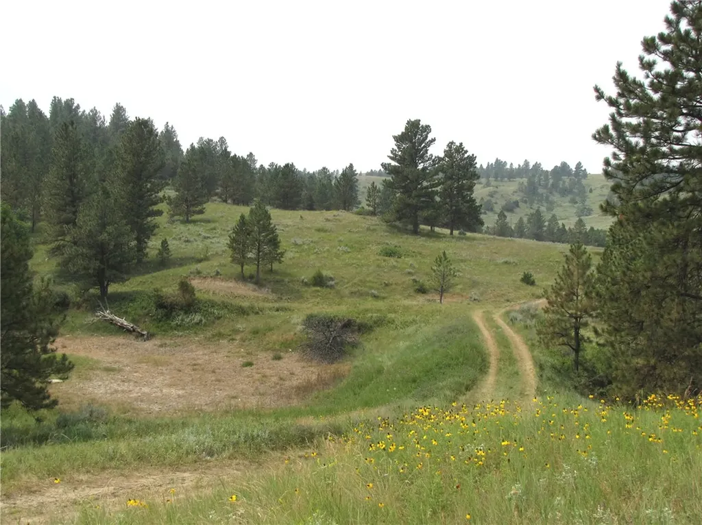Nhn Lone Rock Canyon Hysham MT 59038