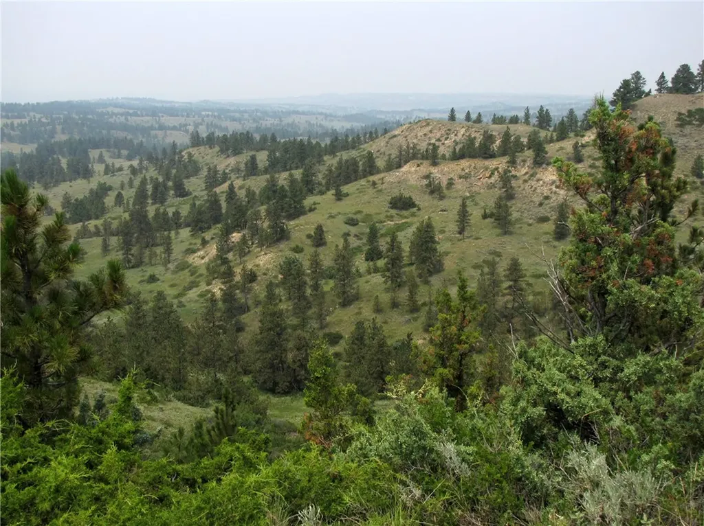 Nhn Lone Rock Canyon Hysham MT 59038