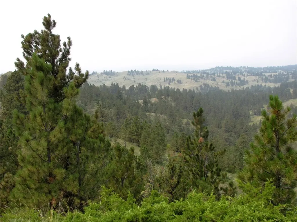 Nhn Lone Rock Canyon Hysham MT 59038