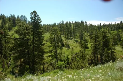 NHN Lone Rock Canyon Hysham MT 59038