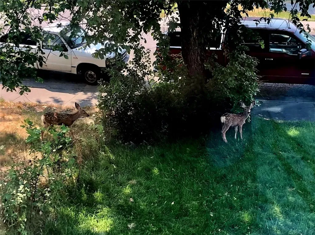 1701 Vuecrest Drive Billings MT 59101