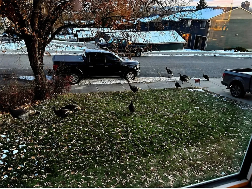 1701 Vuecrest Drive Billings MT 59101