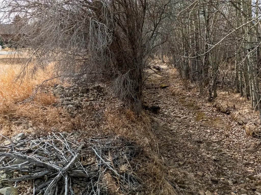 Lot 3 Blk 9 Diamond C Trail Red Lodge MT 59068